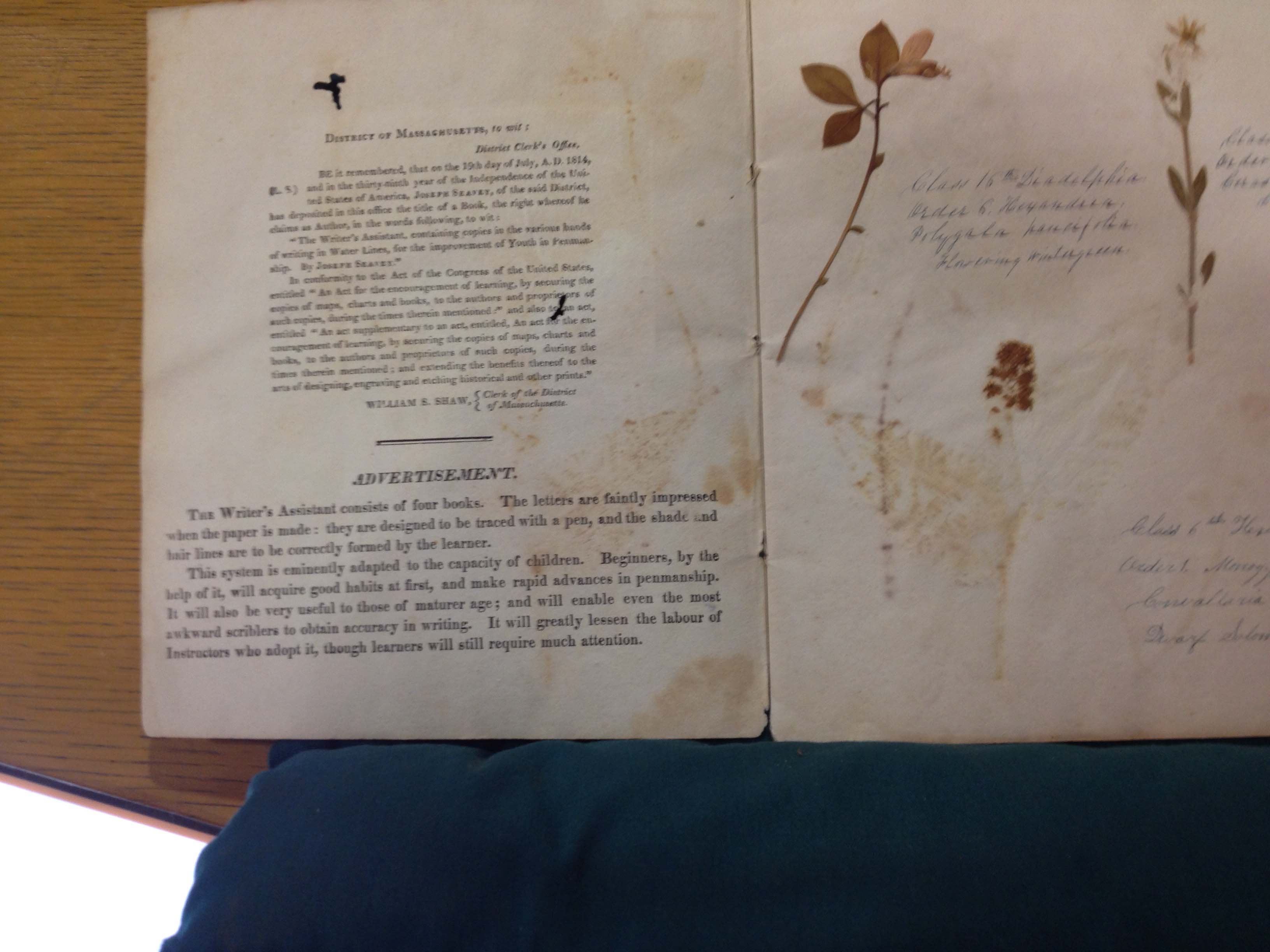 Inside cover of The Writer's Assistant by Joseph Seavy. Boston, 1814 Newberry Library Case Wing Z43 .S43 1814
